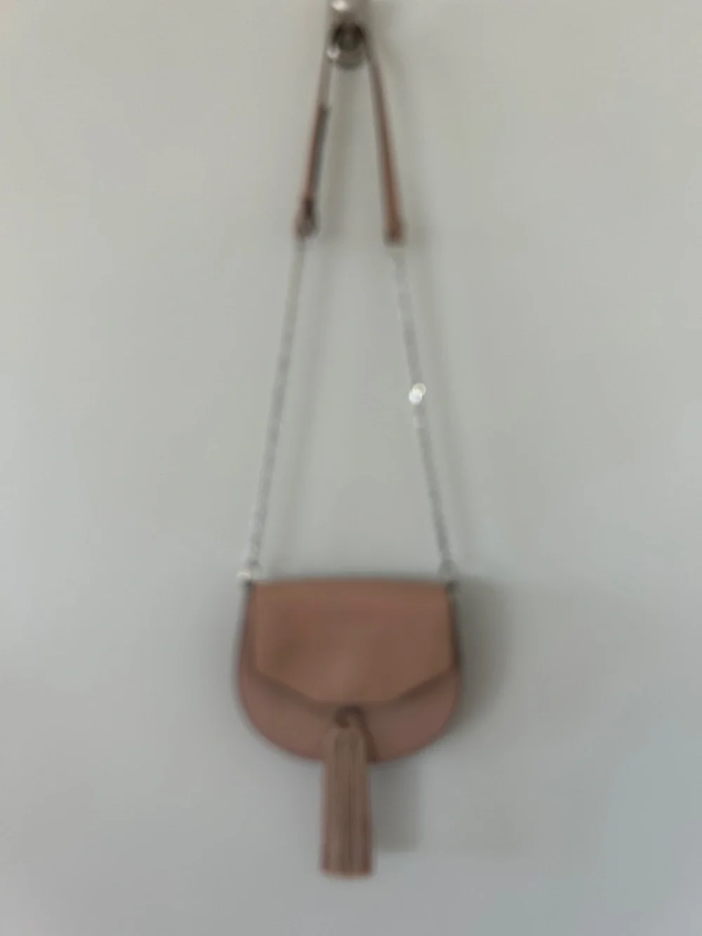 NWOT Louise et Cie Jael Tassel Bag in Blush
